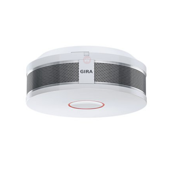 Dual Q Gira 233602 rookmelder 10 jaar lithium accu