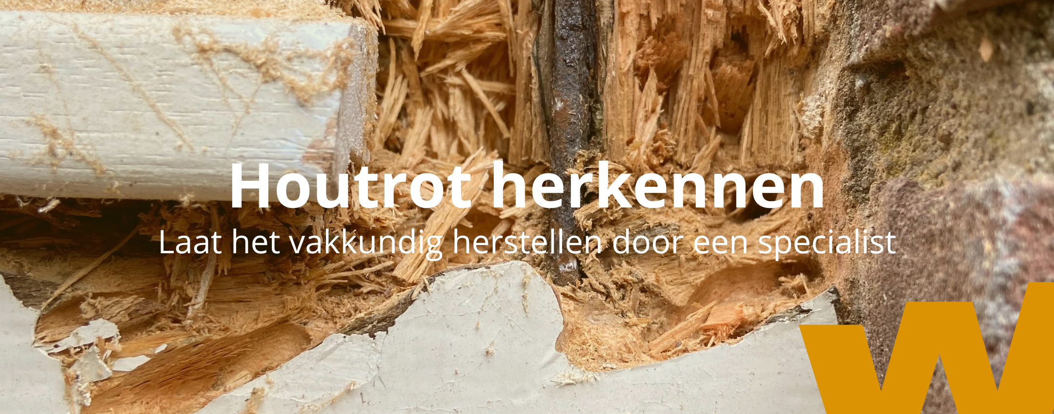 Houtrot herkennen