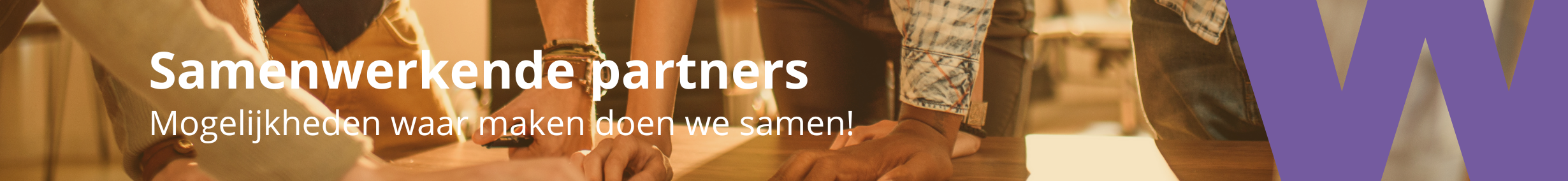 Samenwerkende partners