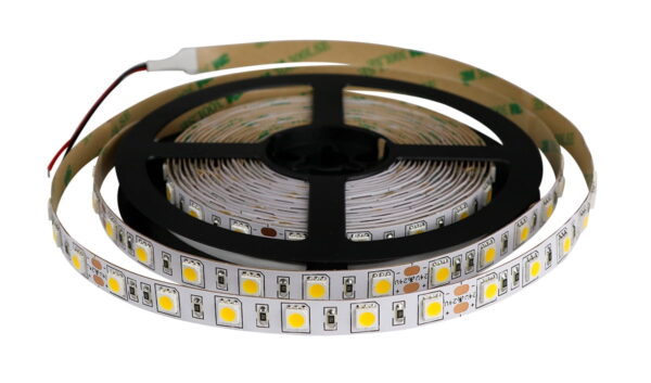 IP22-24V 5 METER 5050/60 10MM-4174