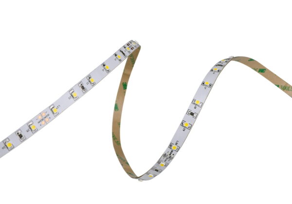 IP22-24V 5 METER 3528/60 8MM-4165