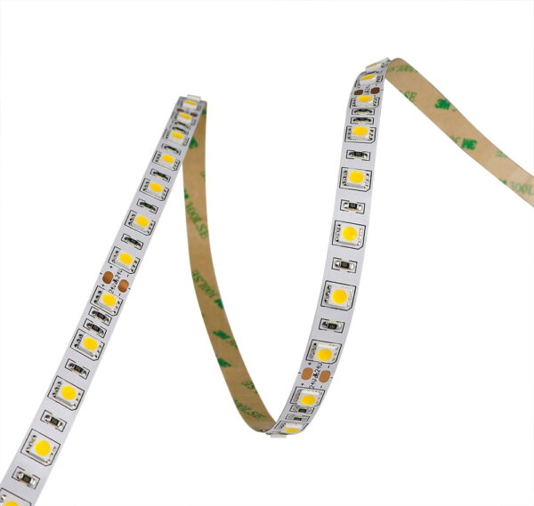 IP22-24V 5 METER 5050/60 10MM-4173